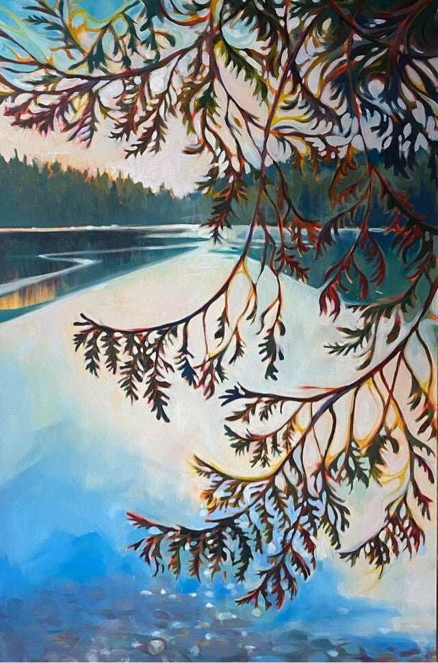 Cedars Over Killarney Lake by Danielle Adams