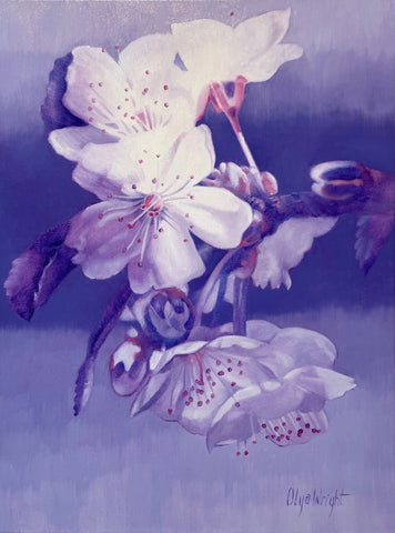 Cherry Blossom by Olya Wright