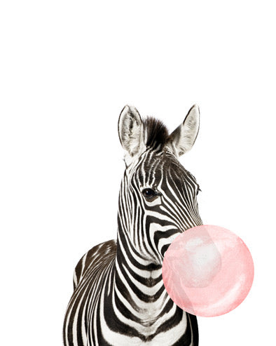 Zebra Bubblegum Crystal Ceramic Print