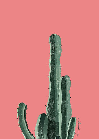 Cactus Crystal Ceramic Print